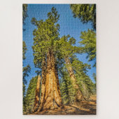 Majestic Sequoia Trees Legpuzzel (Verticaal)