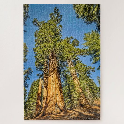 Majestic Sequoia Trees Legpuzzel (Verticaal)