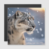 Majestic sneeuwluipaard hart van het winterse stor (Voorkant / Achterkant)