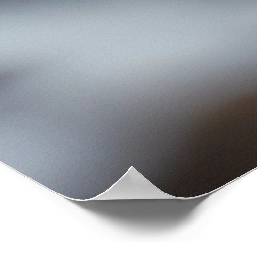 Majestic Snow Leopard Celestial Guardian Poster (Hoek)