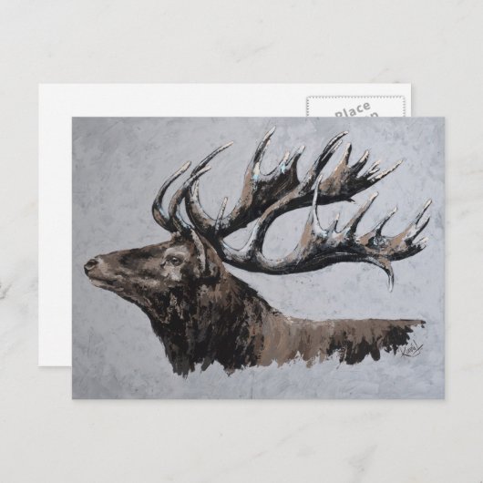 Majestic - stag briefkaart (Voorkant / Achterkant)