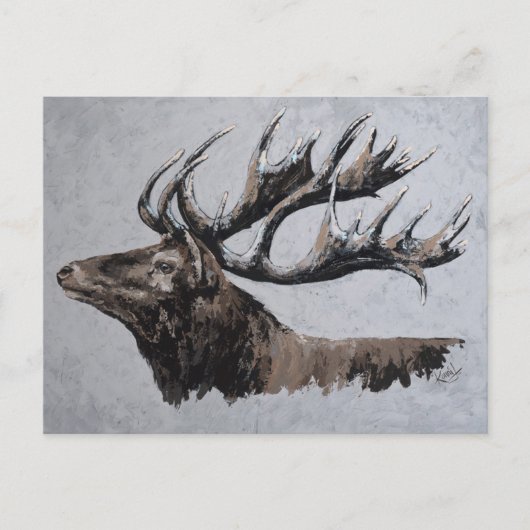 Majestic - stag briefkaart (Voorkant)