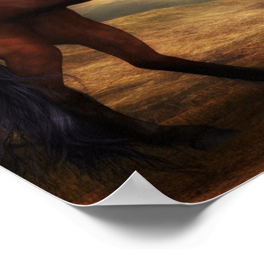 Majestic Stallions Poster (Hoek)