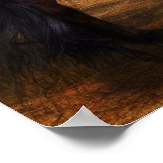 Majestic Stallions Poster (Hoek)