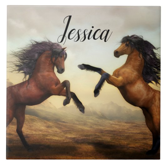 Majestic Stallions Tegeltje (Voorkant)