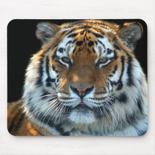 Majestic Sumatran Tiger Muismat (Voorkant)