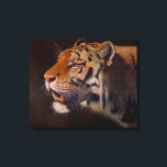 Majestic Tiger Portrait Large Canvas Afdruk<br><div class="desc">Majestic Tiger from the original Oils on canvas by Sue Maas</div>