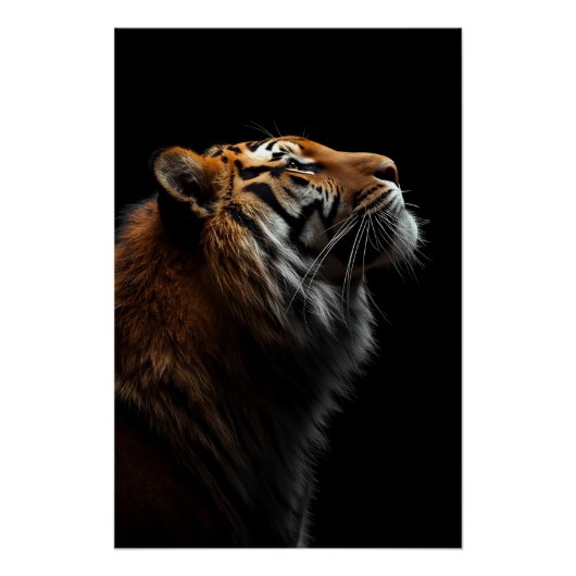 Majestic Tiger Portrait, Strength Royal Confidence Perfect Poster (Voorkant)