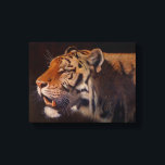 Majestic Tiger Small Canvas Afdruk<br><div class="desc">Majestic Tiger from the original Oil on canvas by Sue Maas</div>