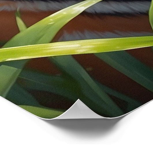 Majestic Tijger met Vlinders in Oerwoud Poster (Hoek)