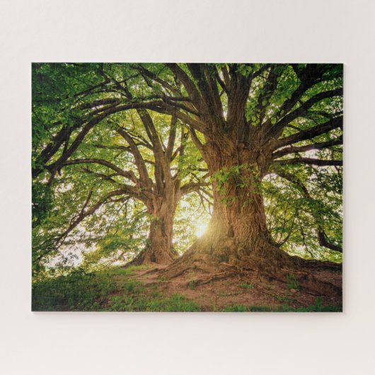 Majestic Trees Jigzaag Puzzle Legpuzzel (Horizontaal)
