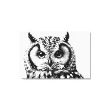 Majestic Uil Portret 36x24" Groot Canvas