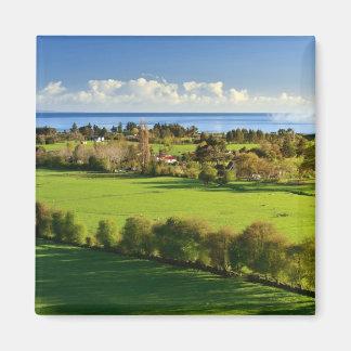 Majestic Velden Magneet