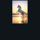 Majestic White Arabian Horse Sunset Beach Canvas Afdruk<br><div class="desc">Capture the breathtaking beauty of nature with this stunning canvas print featuring a majestic white Arabian horse rearing gracefully on a golden beach at sunset. Bathed in warm cinematic light, the elegant horse reflects across the wet sand as ocean waves gently roll in behind it, creating a powerful and serene...</div>