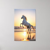 Majestic White Arabian Horse Sunset Beach Canvas Afdruk (Voorkant)