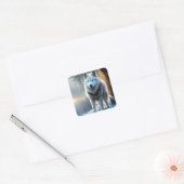 Majestic White Arctic Wolf Art Vierkante Sticker (Envelop)