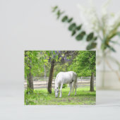 Majestic White Horse Briefkaart (Staand voorkant)