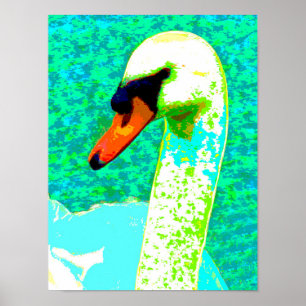Majestic White Swan Head Poster