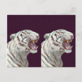 Majestic White Tiger – Postcard Design Briefkaart (Voorkant)