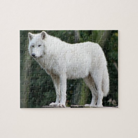 Majestic White Wolf Jigzaag Puzzle Legpuzzel (Horizontaal)