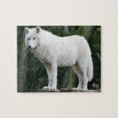 Majestic White Wolf kijkt over domein Legpuzzel (Horizontaal)