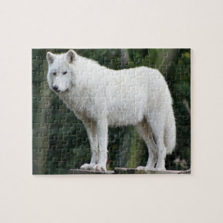Majestic White Wolf kijkt over domein Legpuzzel