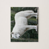 Majestic White Wolf kijkt over domein Legpuzzel (Verticaal)