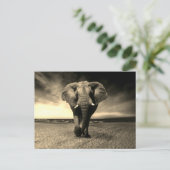 Majestic Wild Bull Elephant in Sepia Briefkaart (Staand voorkant)