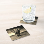 Majestic Wild Bull Elephant in Sepia Kartonnen Onderzetters (Insitu)