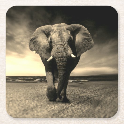 Majestic Wild Bull Elephant in Sepia Kartonnen Onderzetters (Voorkant)