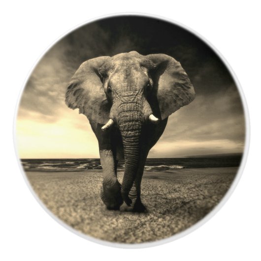 Majestic Wild Bull Elephant in Sepia Keramische Knop (Voorkant)