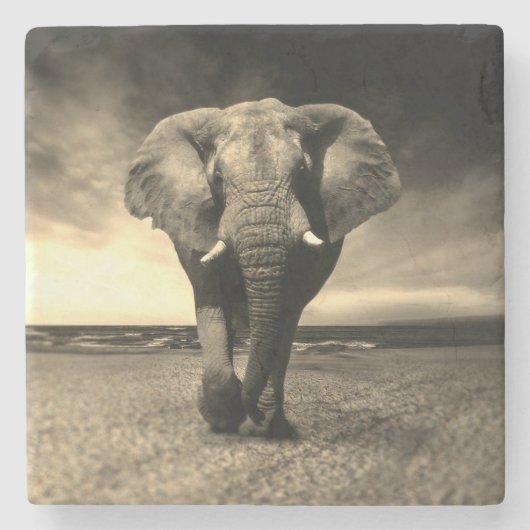 Majestic Wild Bull Elephant in Sepia Stenen Onderzetter (Voorkant)