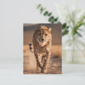 Majestic Wild Cheetah Running Photo Briefkaart (Staand voorkant)