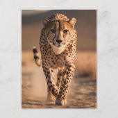 Majestic Wild Cheetah Running Photo Briefkaart (Voorkant)