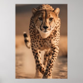 Majestic Wild Cheetah Running Photo Poster (Voorkant)
