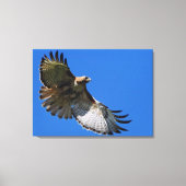 Majestic Wings Canvas Afdruk (Voorkant)