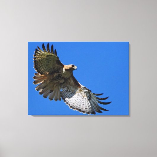 Majestic Wings Canvas Afdruk (Voorkant)