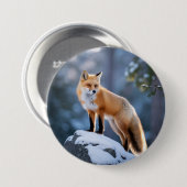 Majestic Winter Fox Fotografie Ronde Button 7,6 Cm (Voorkant /achterkant)
