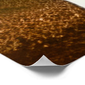 Majestic Witte Leeuw met Verschillende Gekleurde O Poster (Hoek)