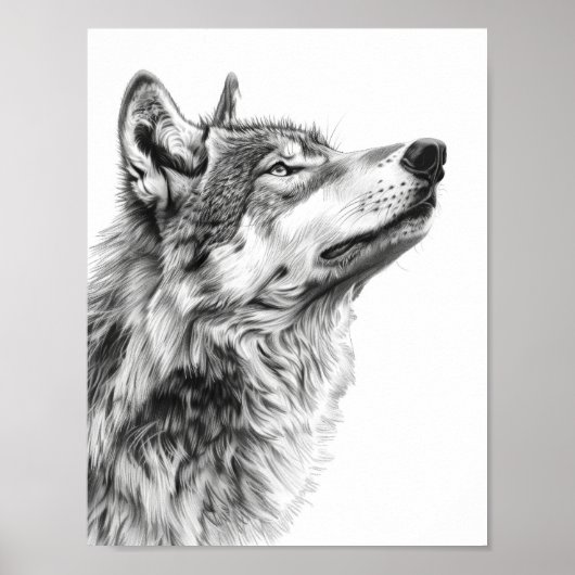 Majestic Wolf Staren naar het Sky Sketch Poster (Voorkant)