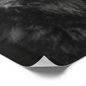 Majestic Zwart-wit Wolf Portrait Poster (Hoek)