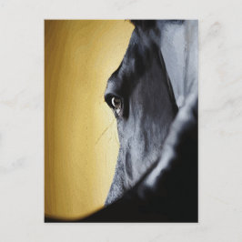 Majestieke paardenoogen close-up kunst briefkaart