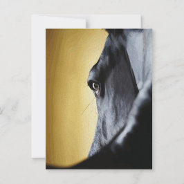 Majestieke paardenoogen close-up kunst briefkaart