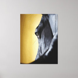 Majestieke paardenoogen close-up kunst canvas afdruk
