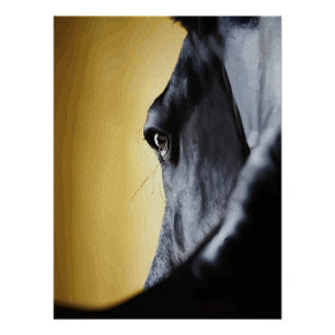 Majestieke paardenoognabij Kunst Perfect Poster