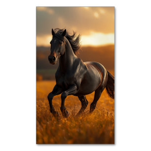 Majestieke Zwarte Hengst Paard Herfst Zonsondergan Magnetisch Visitekaartje