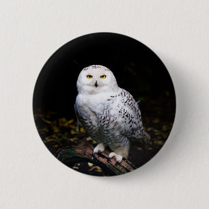Majestische winter sneeuwuil ronde button 5,7 cm