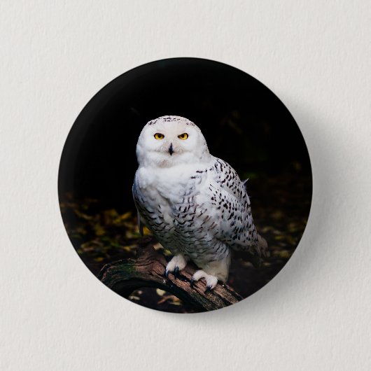 Majestische winter sneeuwuil ronde button 5,7 cm (Voorkant)