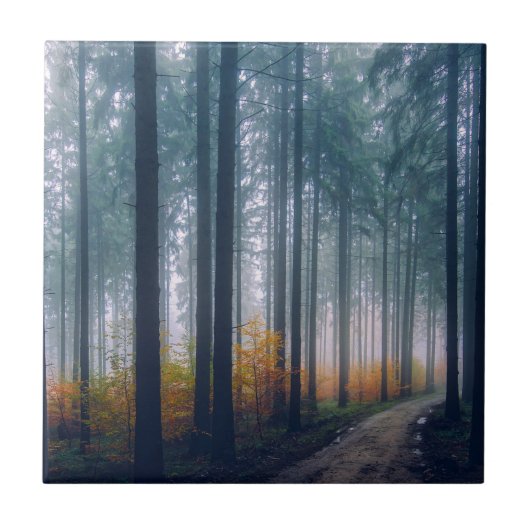 Majestueus bos met bomen omzoomd pad tegeltje (Voorkant)