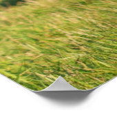 Majestueus hert Stag Poster (Hoek)